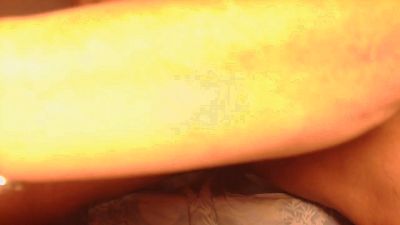 Dollysex6 from France