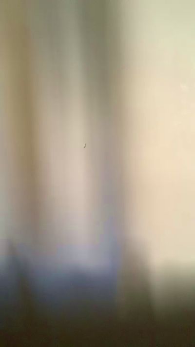 hotdadscorpinkx from Italy