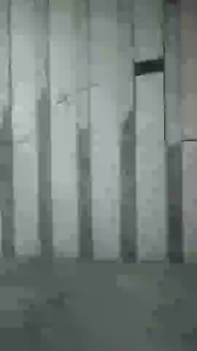 lcmalvado3 from Brazil