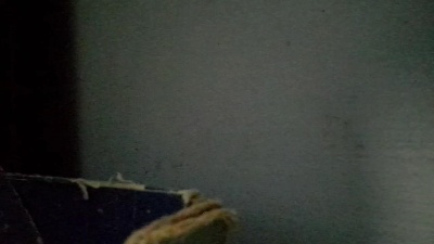 me_gusta_tod from Argentina