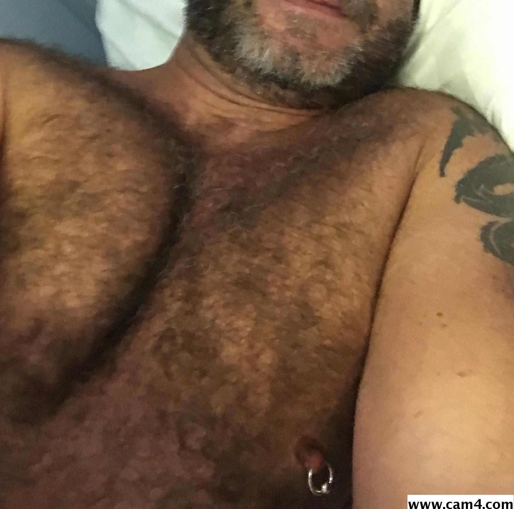 ptibear1 Profile Image